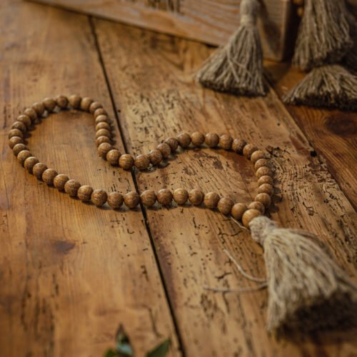 ozolkoka mala bez mezgliņiem