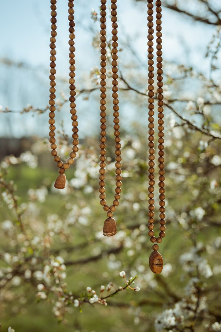 ozolkoka mala ar dekoru