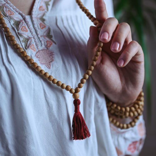 ozolkoka mala bez mezgliņiem