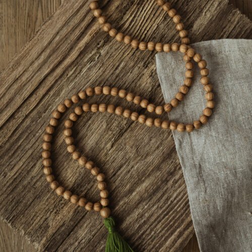 ozolkoka mala bez mezgliņiem