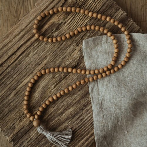 ozolkoka mala bez mezgliņiem