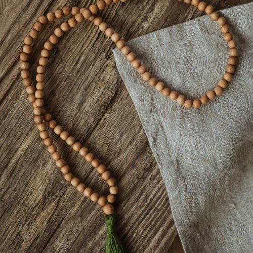 ozolkoka mala bez mezgliņiem