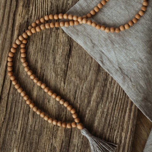 ozolkoka mala bez mezgliņiem