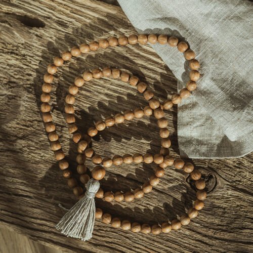 ozolkoka mala bez mezgliņiem