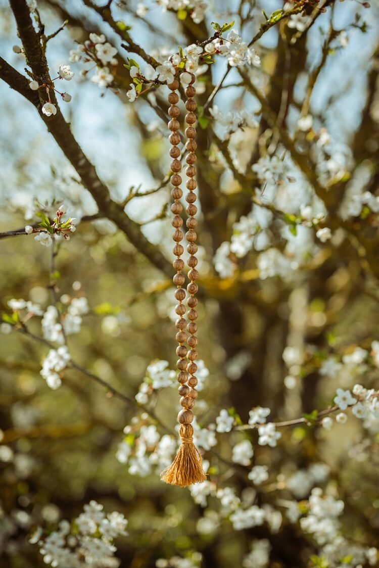 ozolkoka mala ar mezgliņiem