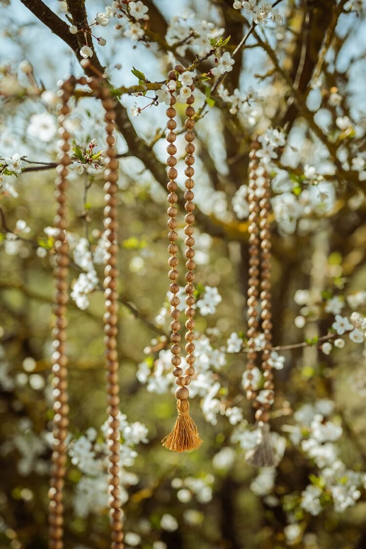 ozolkoka mala ar mezgliņiem