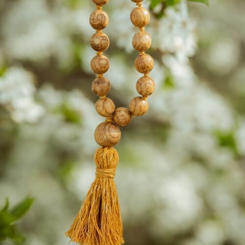 ozolkoka mala ar mezgliņiem