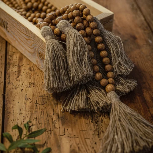 ozolkoka mala bez mezgliņiem